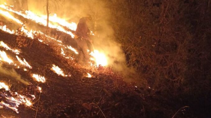 Reporta SDR 12 incendios forestales activos en el estado